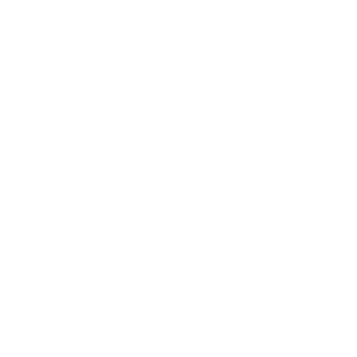 rhi-grant-v1